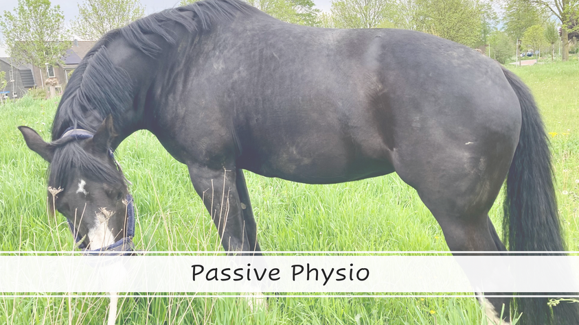 Introduction Webinar: Passive Physio